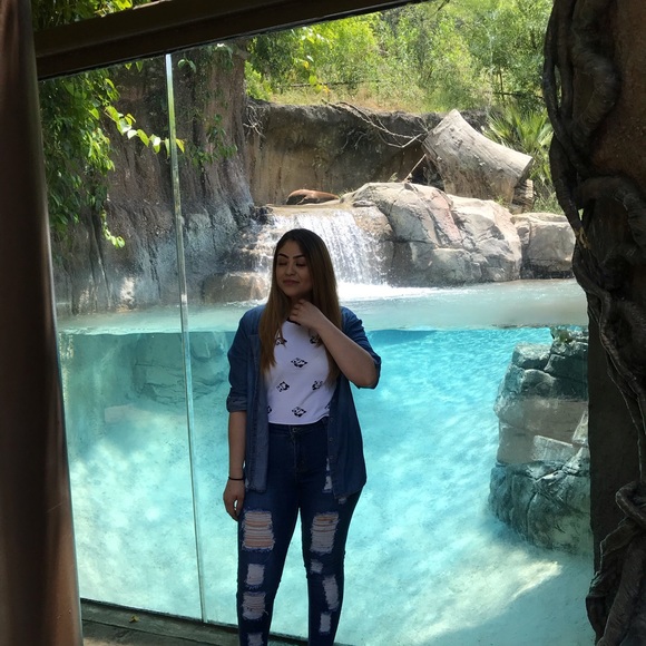 Meet your Posher, Desiree - Picture 6 of 10